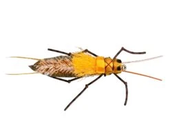 RIO's Morrish Still Stone -Fishing Shop 13613 large