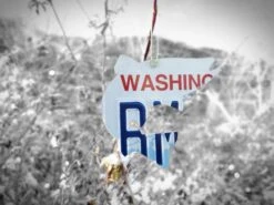 Christmas Tree Ornament // Washington State License Plate Fish Cutouts