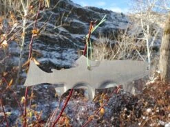 Christmas Tree Ornament // Washington State License Plate Fish Cutouts -Fishing Shop 20191213 103440 resized