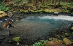 Sage DART - Small Water Fly Rod 13 Sage DART - Small Water Fly Rod -Fishing Shop 35acf459 fb69 4837 86a9 5a133440615f