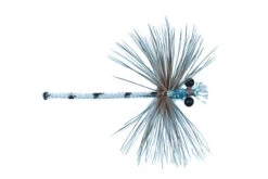 Adult Damsel Dry Fly By Solitude