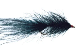 Hale Bopp Leech By Solitude