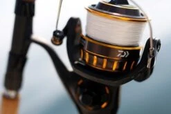 Daiwa BG Spinning Reel -Fishing Shop Daiwai BG Spinning Reel 1
