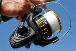 Daiwa BG Spinning Reel -Fishing Shop Daiwai BG Spinning Reel 2