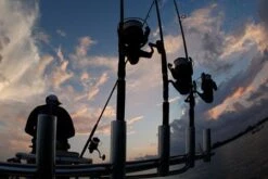 Daiwa BG Spinning Reel -Fishing Shop Daiwai BG Spinning Reel 4