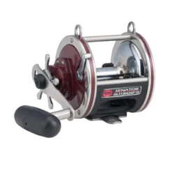 Penn Special Senator Star Drag Reel -Fishing Shop PENN Special Senator Star Drag 113H2SP