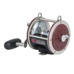 Penn Special Senator Star Drag Reel -Fishing Shop PENN Special Senator Star Drag 113H2SP 2