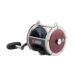 Penn Special Senator Star Drag Reel -Fishing Shop PENN Special Senator Star Drag 114H2LW 2