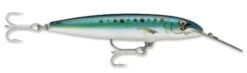 Rapala Countdown Magum CDMAG-14 -Fishing Shop Sardine 1 1