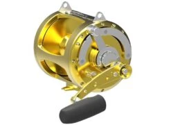 Avet EXW 80/2 13 Avet EXW 80/2 -Fishing Shop avet exw 803 gold1