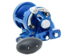 Avet MXL 6/4 MC Raptor -Fishing Shop avet mxl 64 raptor blue1