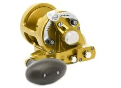 Avet MXL 6/4 MC Raptor -Fishing Shop avet mxl 64 raptor gold1