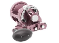 Avet MXL 6/4 MC Raptor -Fishing Shop avet mxl 64 raptor pink1