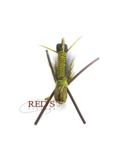 Bullet Head Skwala Stonefly By Solitude -Fishing Shop skwala belly
