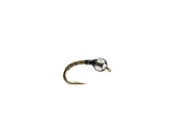 RIO's Tungsten Zebra Midge -Fishing Shop zebrablackolive